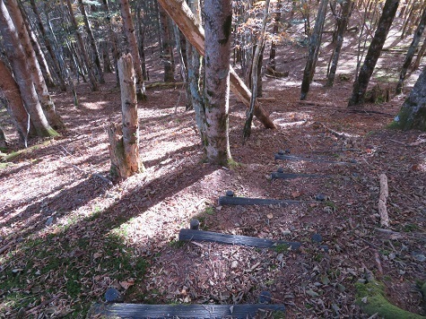 麻布山~バラ谷 表示終わりなので登山道整備も終わりかとおもったら・・・.jpg