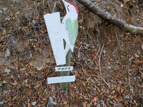 麻布山~バラ谷 野鳥の森だけあって鳥の説明標識が豊富.jpg