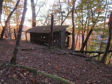 麻布山~バラ谷 野鳥観察小屋があった.jpg