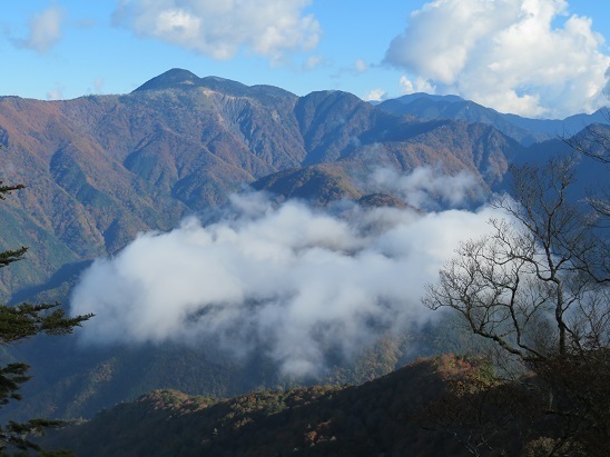 麻布山~バラ谷 鶏冠山が見える.jpg