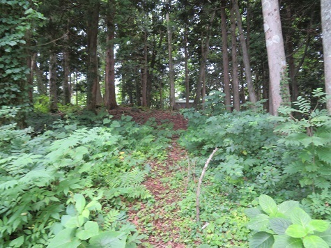 黒森山 どうやら突破で来たようだ.jpg