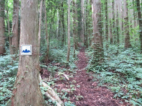 黒森山 指導標通り進む.jpg