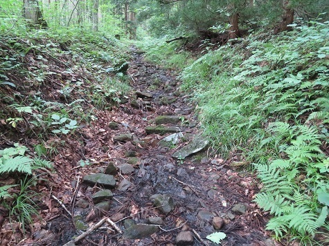 黒森山 涸沢を進む.jpg