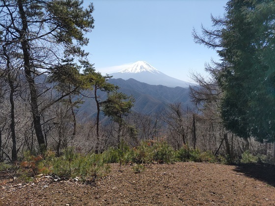 パノラマ台~蛾岳 ここだけ眺望良.jpg