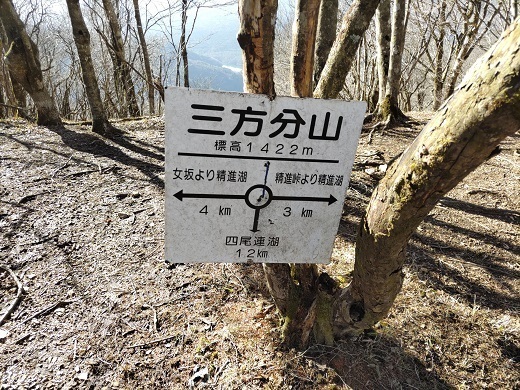 パノラマ台~蛾岳 四尾連湖へは標柱の後ろ.jpg