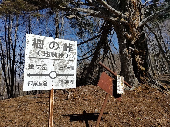 パノラマ台~蛾岳 地蔵峠到着.jpg