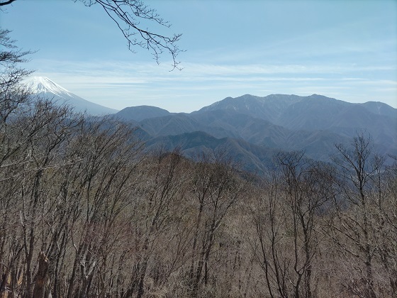 パノラマ台~蛾岳 富士山と天子山地.jpg