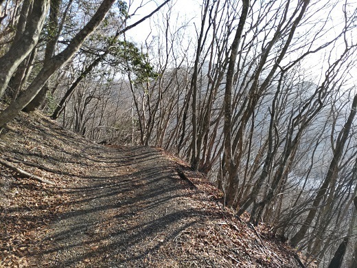 パノラマ台~蛾岳 根子峠までは道が広い.jpg
