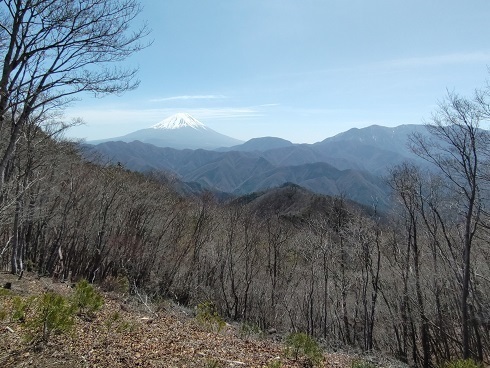 パノラマ台~蛾岳 眺望良かった?.jpg
