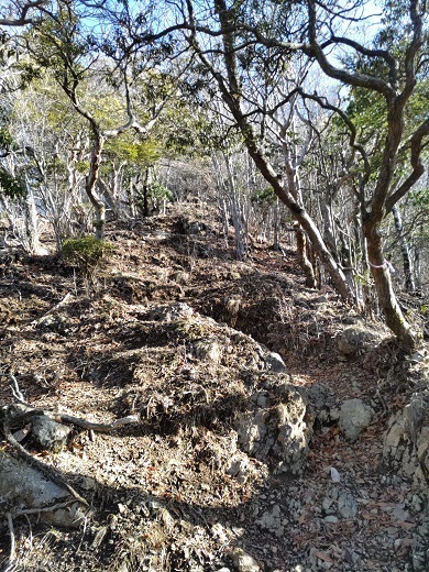 パノラマ台~蛾岳 精進向けての登り.jpg