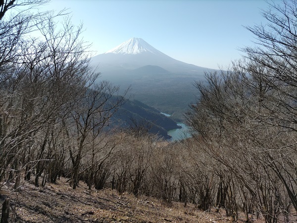パノラマ台~蛾岳 精進湖と富士.jpg