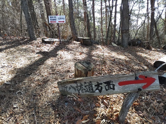 パノラマ台~蛾岳 釈迦岳四尾連湖分岐.jpg